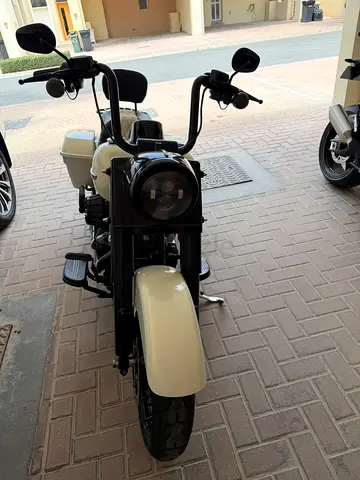 HD Road King Spl 2019