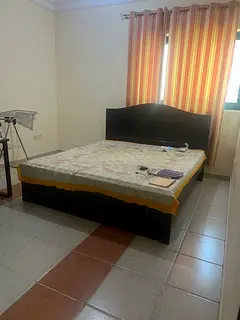 Furnished Room for Executive Bachelor From May 1st