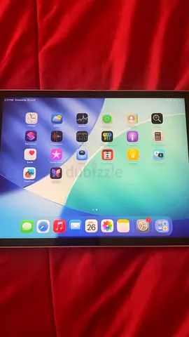 iPad 9th Generation 256GB Silver