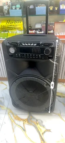 Portable Large PA Speaker with Built-in Mixer and USB/FM