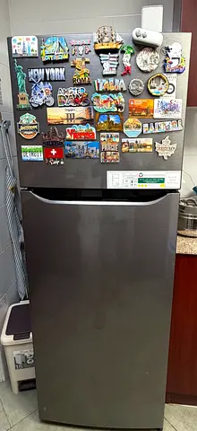 LG 315 Liter Top Mount Double Door Freezer Refrigerator Silver