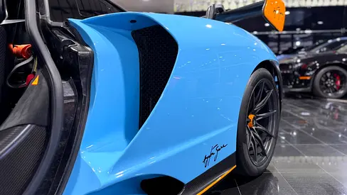 2019 Mclaren SENNA photo 11