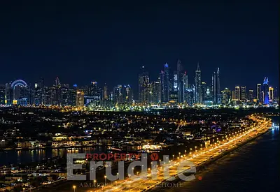 استوديو غير مخطط | بن غاطي أبيس | وجهات نظر متعددة