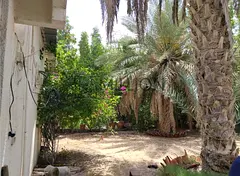 Luxury 8-Bedroom Villa for Sale in Al Rashidiya