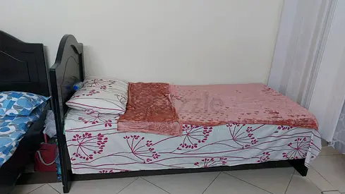 Single Bed Frame dismantable