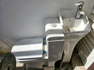 Free toilet seat and sink