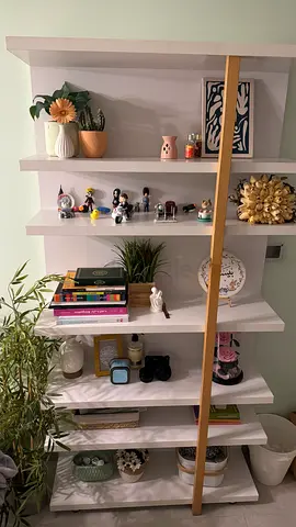 White shelves