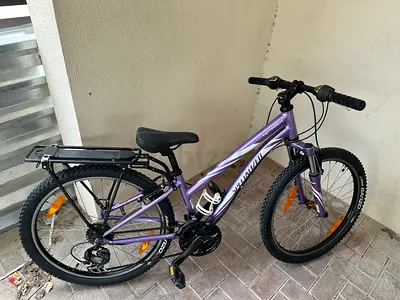 Specialised bike