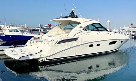 SEA RAY 475 (2009)