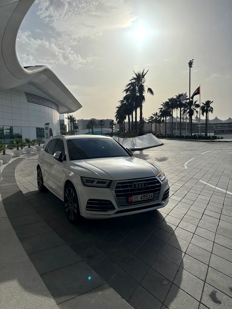 Audi SQ5 2018 — photo 1 of 10