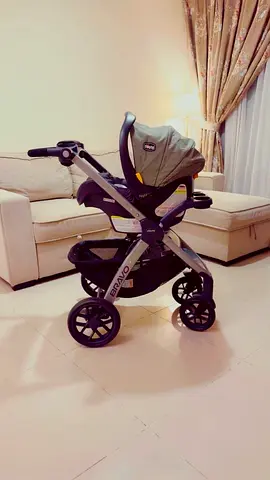 Chicco Bravo Stroller with Car Seat