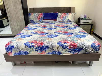 Bed
