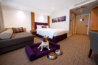 DOG FRIENDLY Room / Taxes included / No Commission
