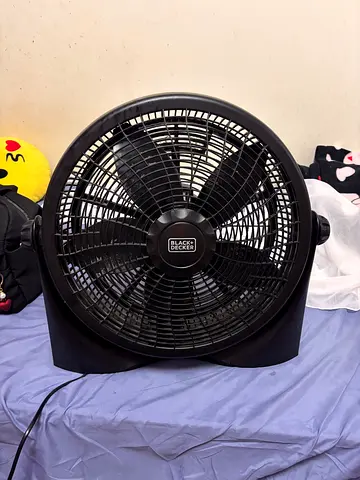 Fan