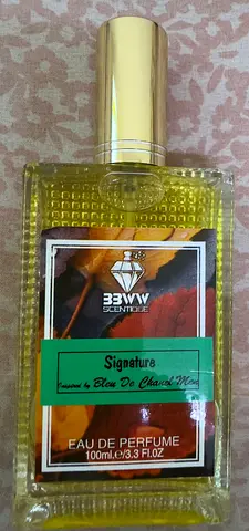 Signature Inspired by Bleu De Chanel Men - A Touch of Luxury 100 ml