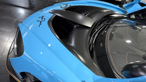 2019 Mclaren SENNA photo 10
