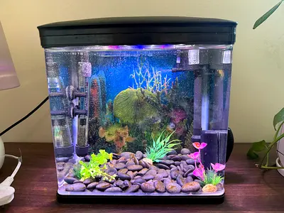 Fish Tank / Aquarium with filter, heater, cleaner