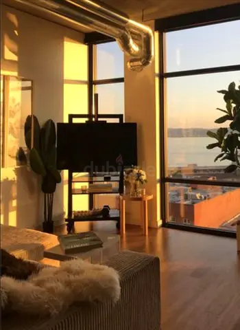 Pottery Barn Mobile TV Stand, looks great with big windows, opens the space