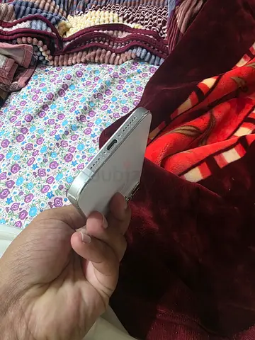 iPhone 16 Pro Max Silver 256 GB - Good Condition