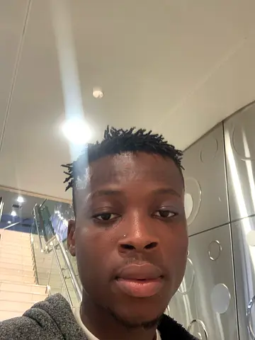 The Versatile Helper (Best for general tasks)