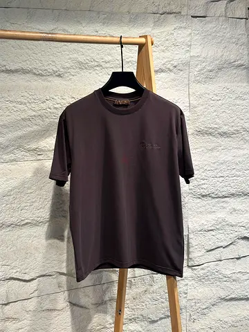 Loro piana T-shirt for men
