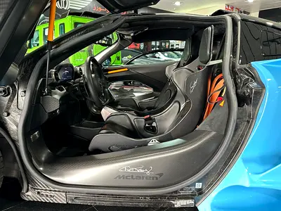 2019 Mclaren SENNA photo 14