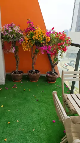 Bangvella 1.5m Hight 3color mix