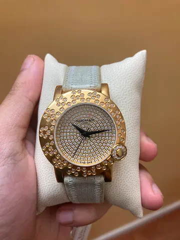 Rochas watch
