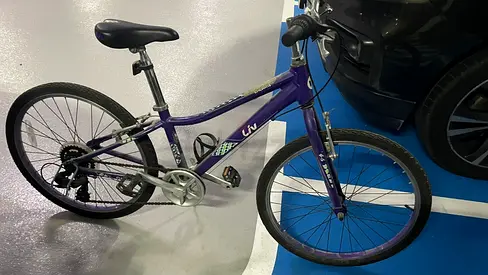 Liv/Giant Purple Hybrid Bike — Good Condition