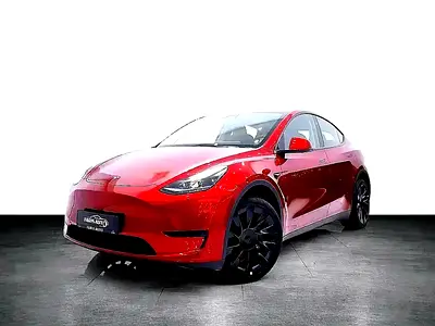 TESLA MODEL Y 2024 IN SPECIAL COMBINATION