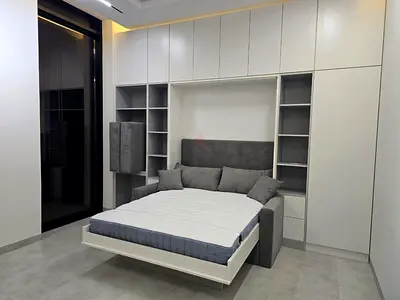 Modern Wall-Mounted Murphy Bed