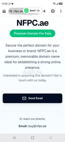 NFPC.AE for sale. HUGE POTENTIAL