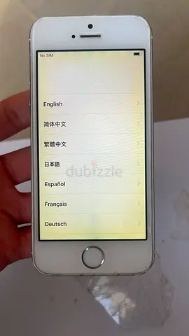 Apple iPhone 5S Silver with charger