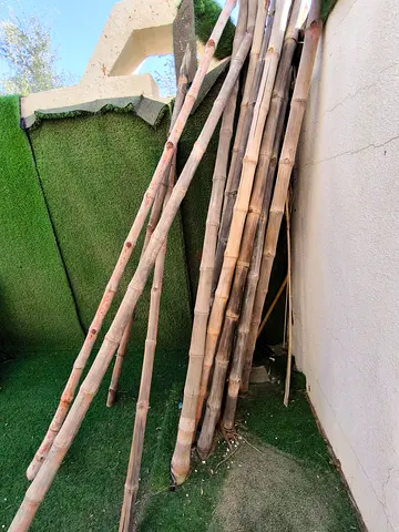 Natural bamboo poles for garden/landscaping - various lengths free for pick up till 4 to 5 m.