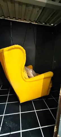 IKEA STRANDMON - Wingchair Skiftebo Yellow with cushions