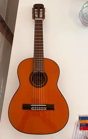 ARIA Acoustic guitar AK 35-48