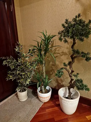 Three decorative indoor potted plants (artificial) - set of 3