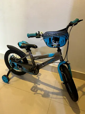 Childs 16-inch Bicycle with Training Wheels