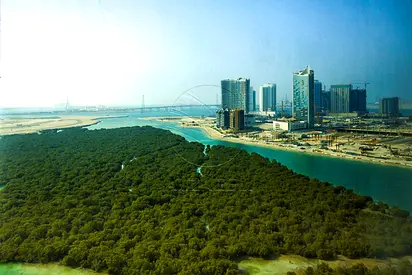 VACANT! Mangrove View | Higher Floor