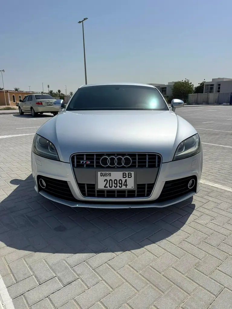 Audi TT 2009 — photo 1 of 18