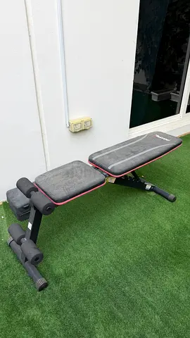 Weights and bench for training - exercise