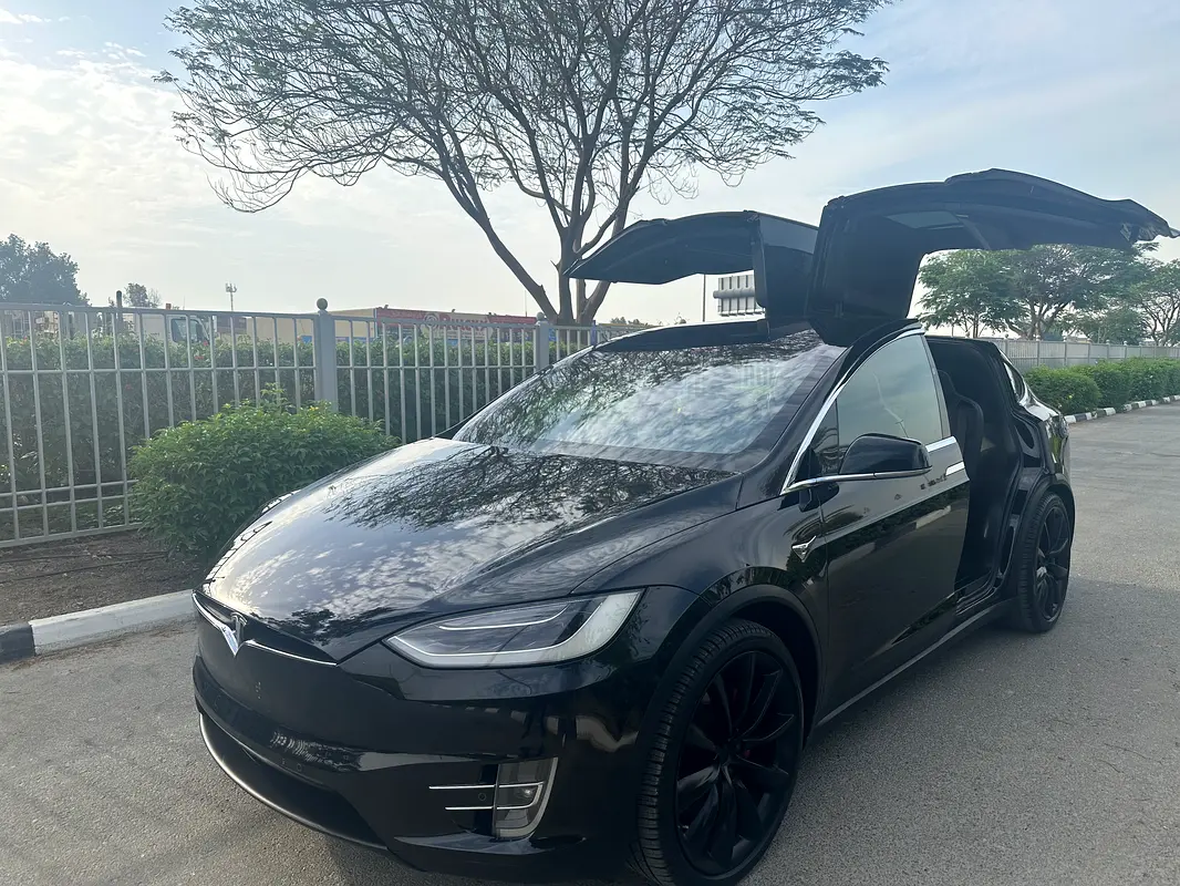 Tesla Model X 2018 — photo 1 of 17