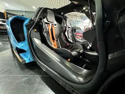 2019 Mclaren SENNA photo 15