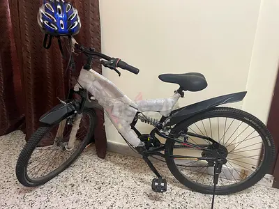 Adults bicycle