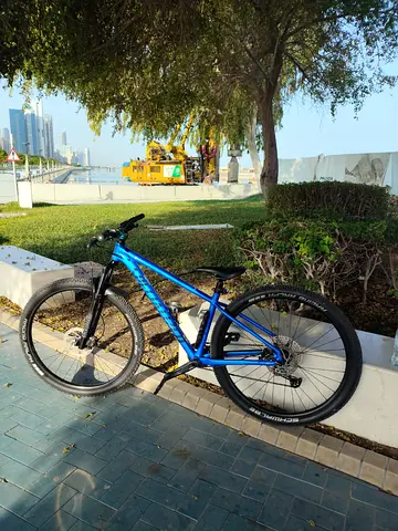 Specialized Rockhopper Sport 29  - Upgraded