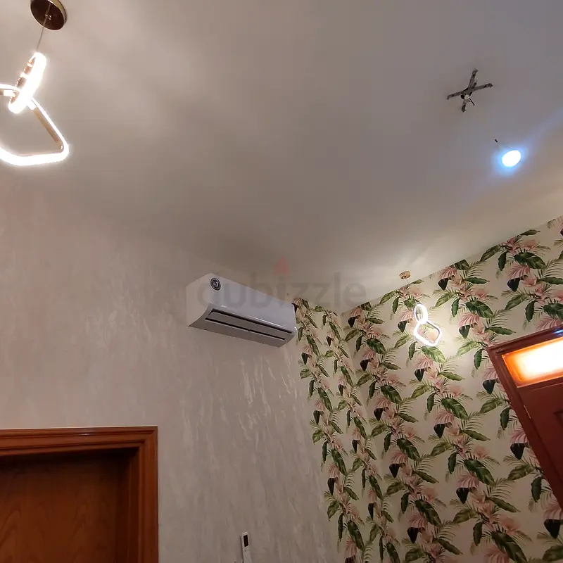DPV_View_Image_2