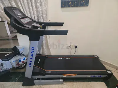 Skyland EM-1281 Treadmill — Good Working Condition, Home Use