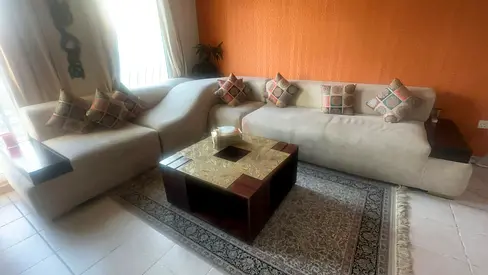 WHOLE SET- Sofa, Centre Table  Carpet-