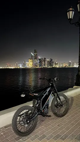 Wish 02 pro Electric e-bike