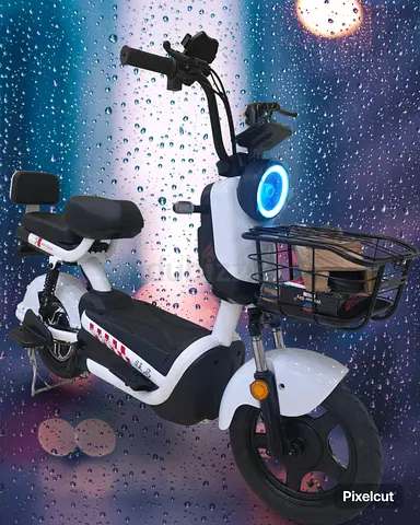 Electric scooter for adults